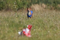 /album/fotogalerie-bango-ximbir-ewo/img-6985-jpg/