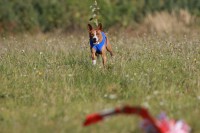 /album/fotogalerie-bango-ximbir-ewo/img-6986-jpg/