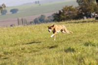 /album/fotogalerie-bango-ximbir-ewo/img-6694-jpg/