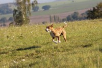 /album/fotogalerie-bango-ximbir-ewo/img-6695-jpg/