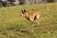 /album/fotogalerie-bango-ximbir-ewo/img-6696-jpg/