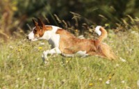 /album/fotogalerie-sarrukinu-cherie/img-6740-jpg/