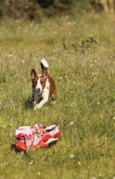 /album/fotogalerie-sarrukinu-cherie/img-6746-jpg/