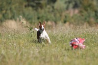 /album/fotogalerie-sarrukinu-cherie/img-7157-jpg/