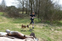 /album/canicross/a10887132-880093028696686-3592696509186042045-o-jpg1/