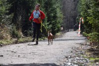 /album/canicross/a10515172-879156995456956-9022526516184733079-o-jpg1/