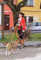 /album/canicross/a1610905-878064038899585-5513144723229973327-n-jpg1/