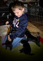 /album/vrh-c-12-12-20171/dsc0341-nef-jpg/