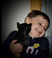 /album/vrh-c-12-12-20171/dsc0318-jpg/